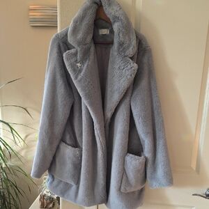 Sage Plush Gray Teddy Coat